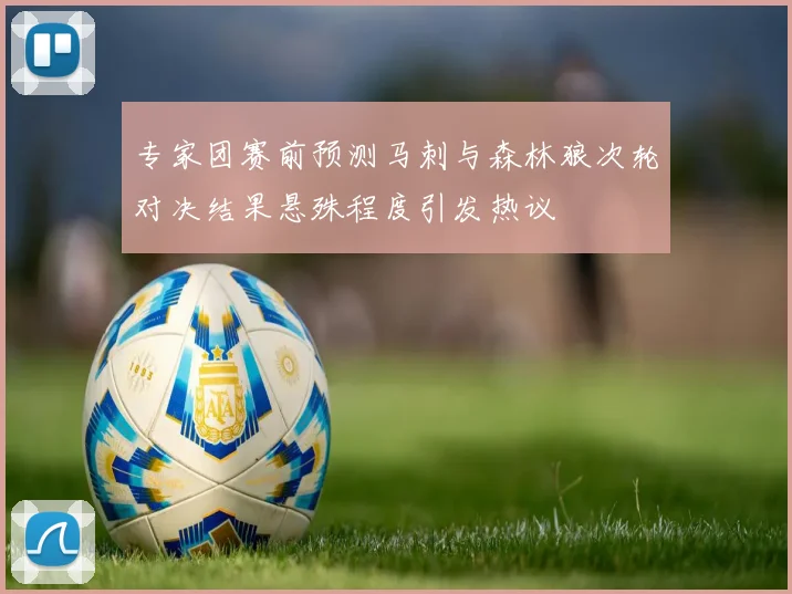 专家团赛前预测马刺与森林狼次轮对决结果悬殊程度引发热议